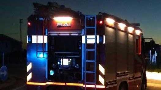 Cinghiale attraversa la strada: scontro tra due automobili