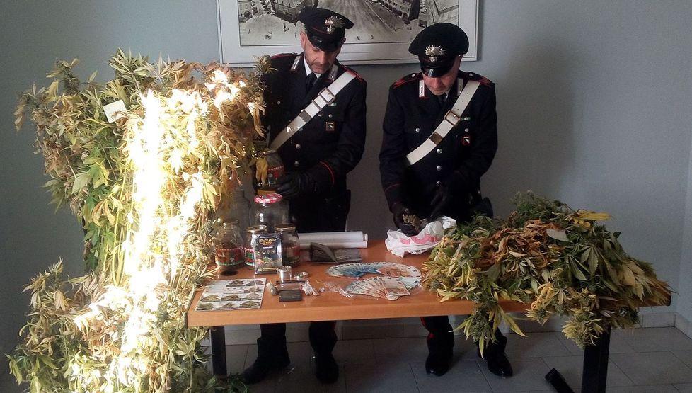 Droga, è correggese l'alchimista della cannabis 
