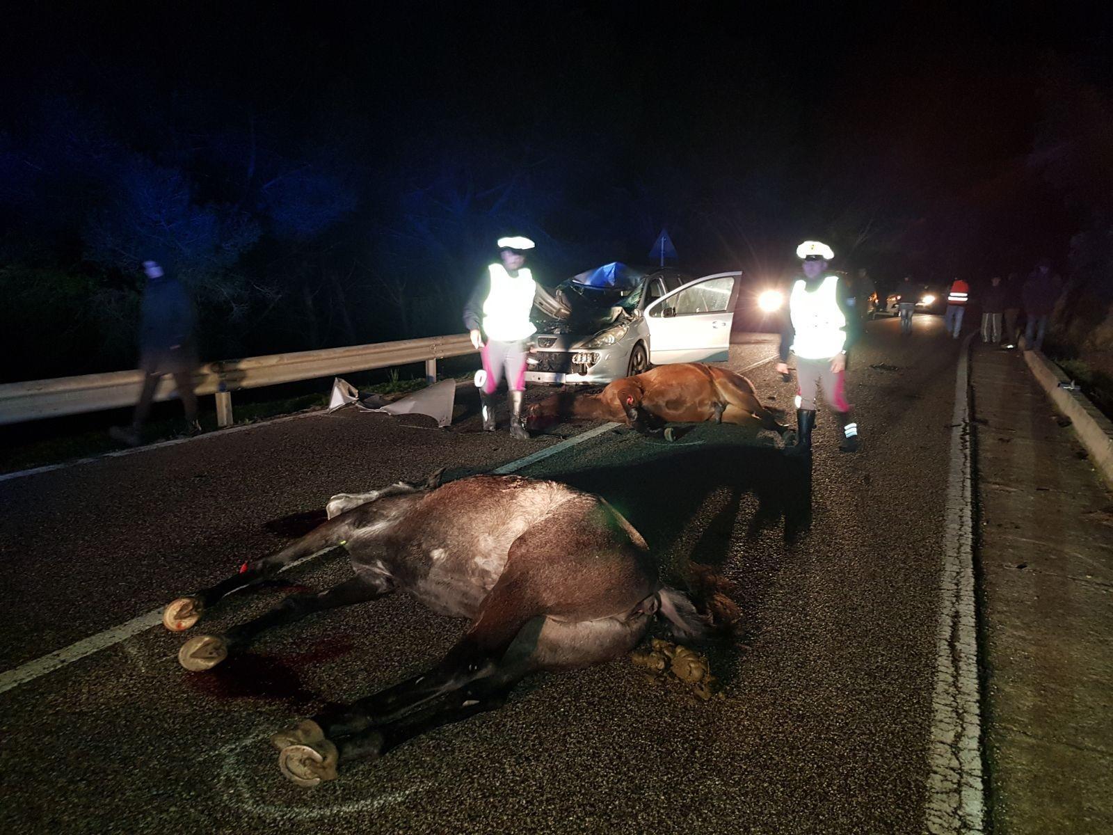 Una drammatica immagine dell'incidente di Marreri