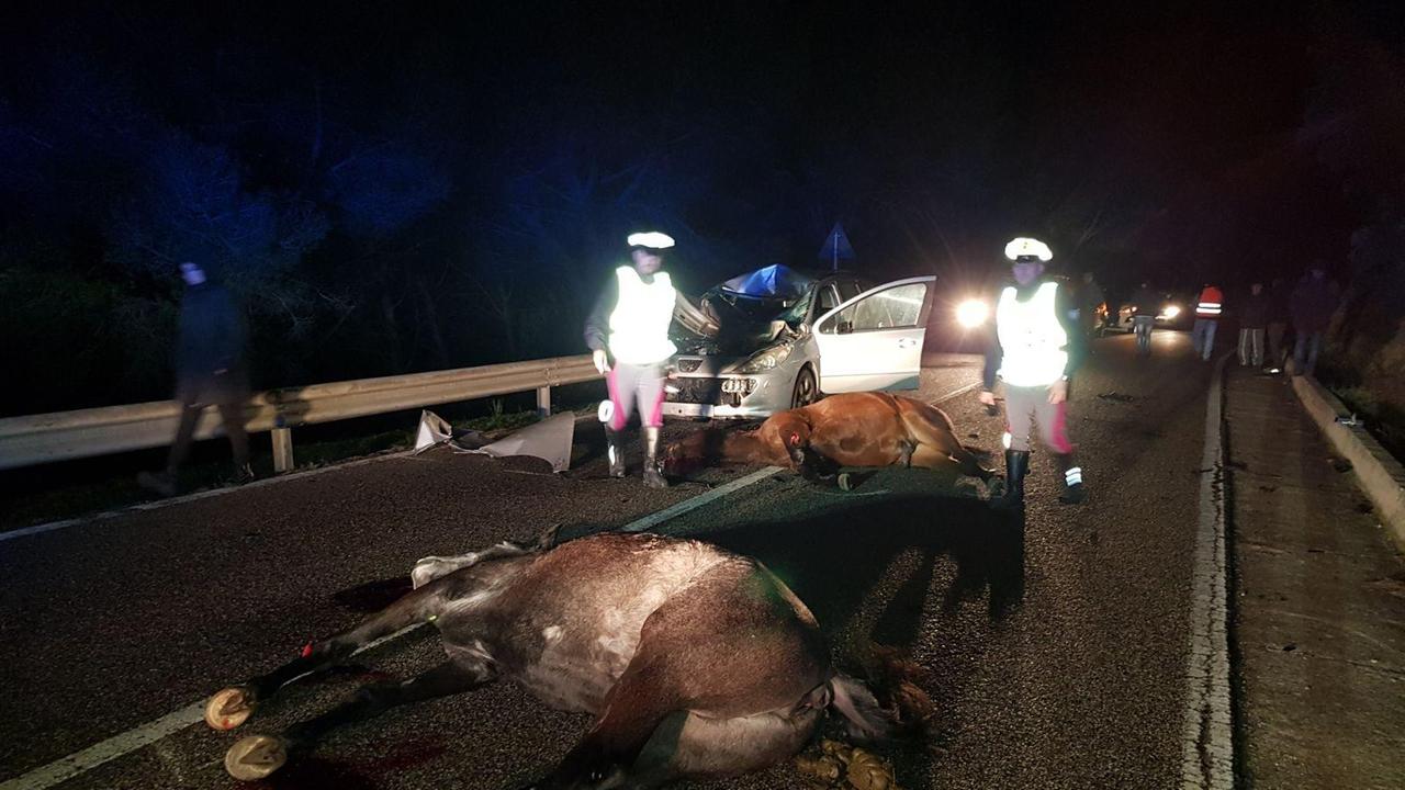 Una drammatica immagine dell'incidente di Marreri