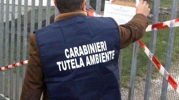 I carabinieri del Noe mettono i sigilli (foto d'archivio)