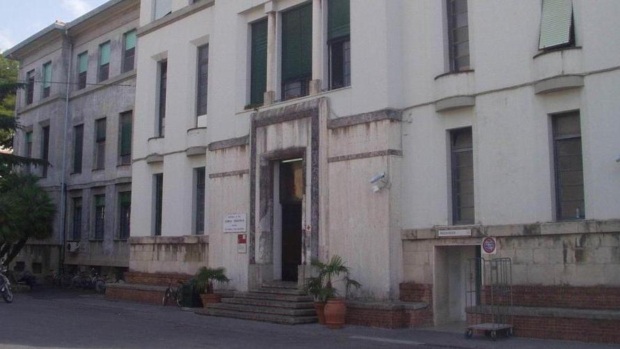 Trapianto "speciale" al Santa Chiara: salvata bimba di tre anni affetta da malattia rara