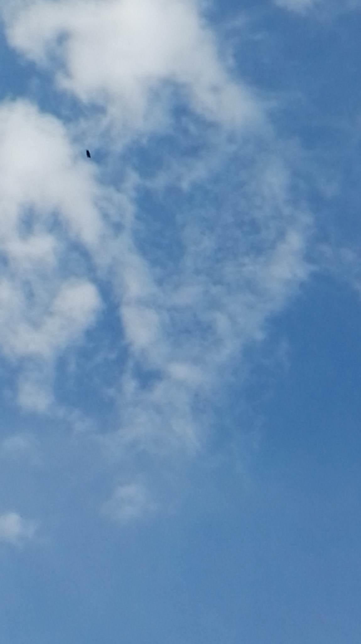La foto al centro del "mistero"