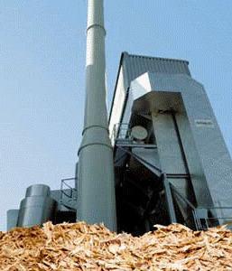 Il dubbio principale: la centrale a biomasse