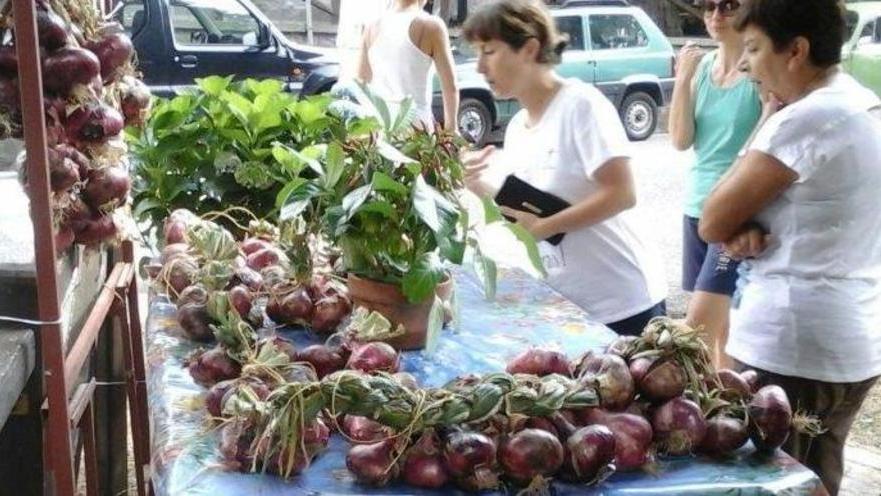 Grani, cipolle e legumi: un patrimonio recuperato