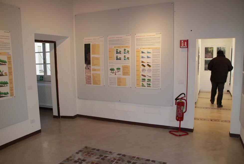 Camaiore chiede nuovi confini del Parco