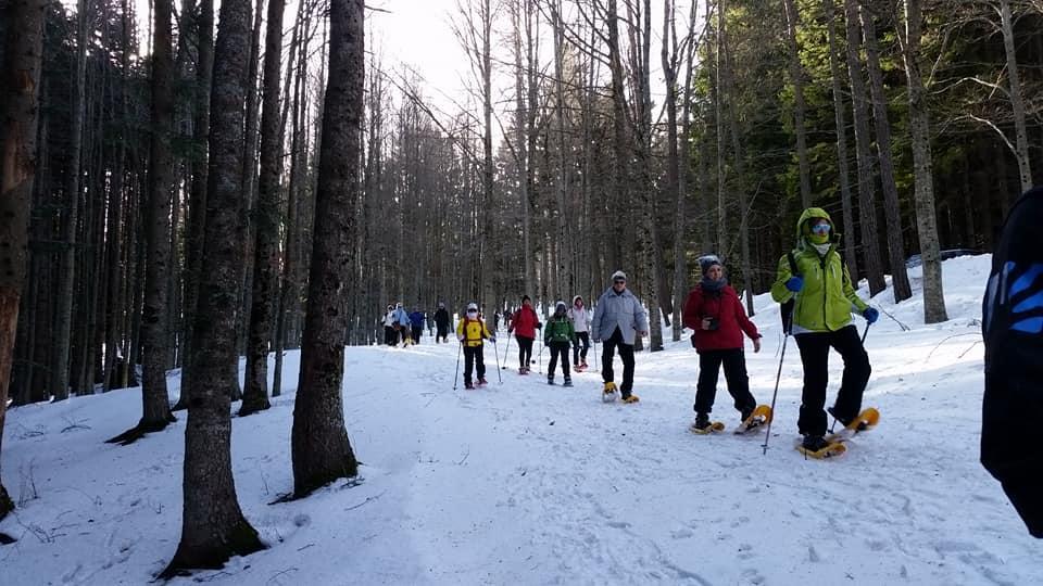 Passeggiata tra i boschi innevati con le ciaspole