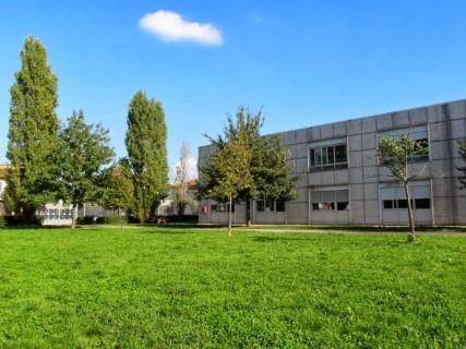 La scuola primaria Anna Frank di Oste