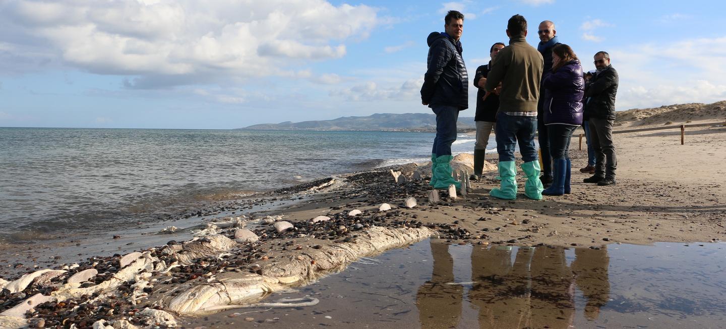 Balena, lavori affidati alla ditta della pista ciclabile