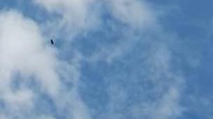 «Ufo avvistato» Una strana foto fa scoppiare il caso