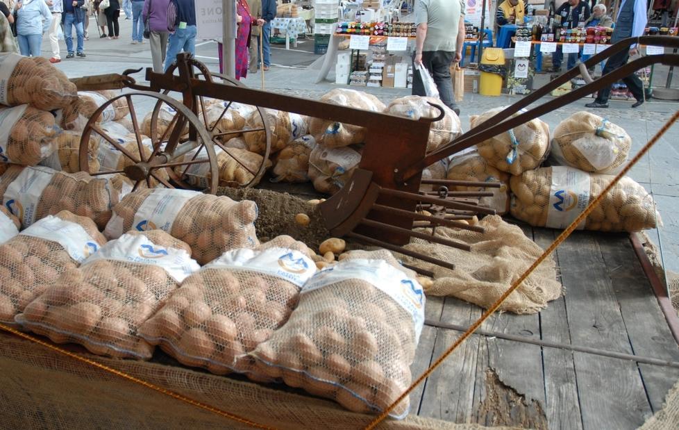 Patata di Montese fra i “tesori dei borghi” 