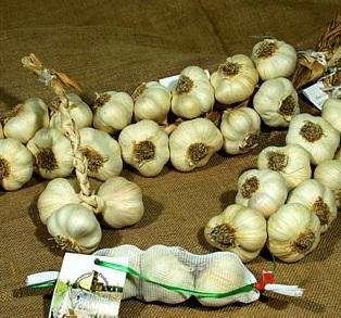L’aglio dop è tra le eccellenze regionali