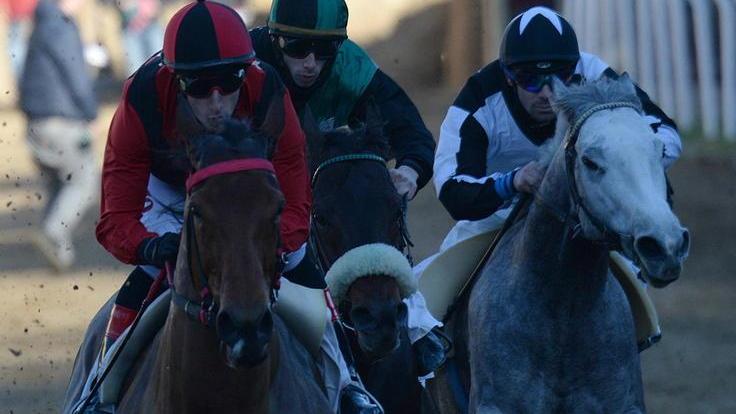 Palio di Buti: San Nicolao si affida al fantino Gessa