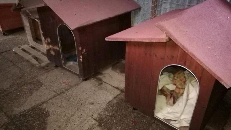 Cucce riscaldate nello stallo della Casa di Margot