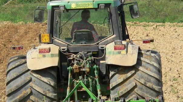 Disoccupazione agricola per i lavoratori discontinui
