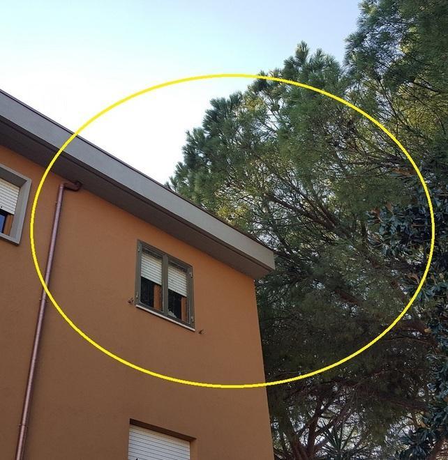 Grondaie intasate e la camera si allaga