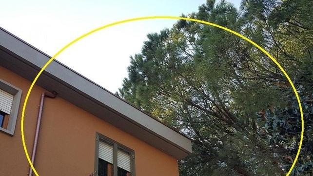 Grondaie intasate e la camera si allaga