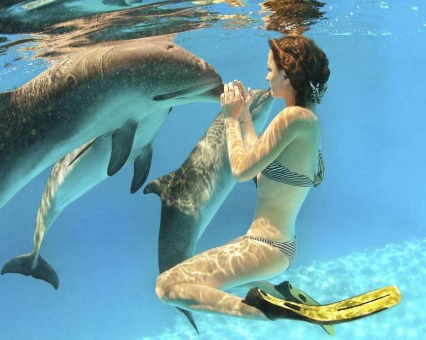 Bagno insieme con i delfini, gli animalisti insorgono