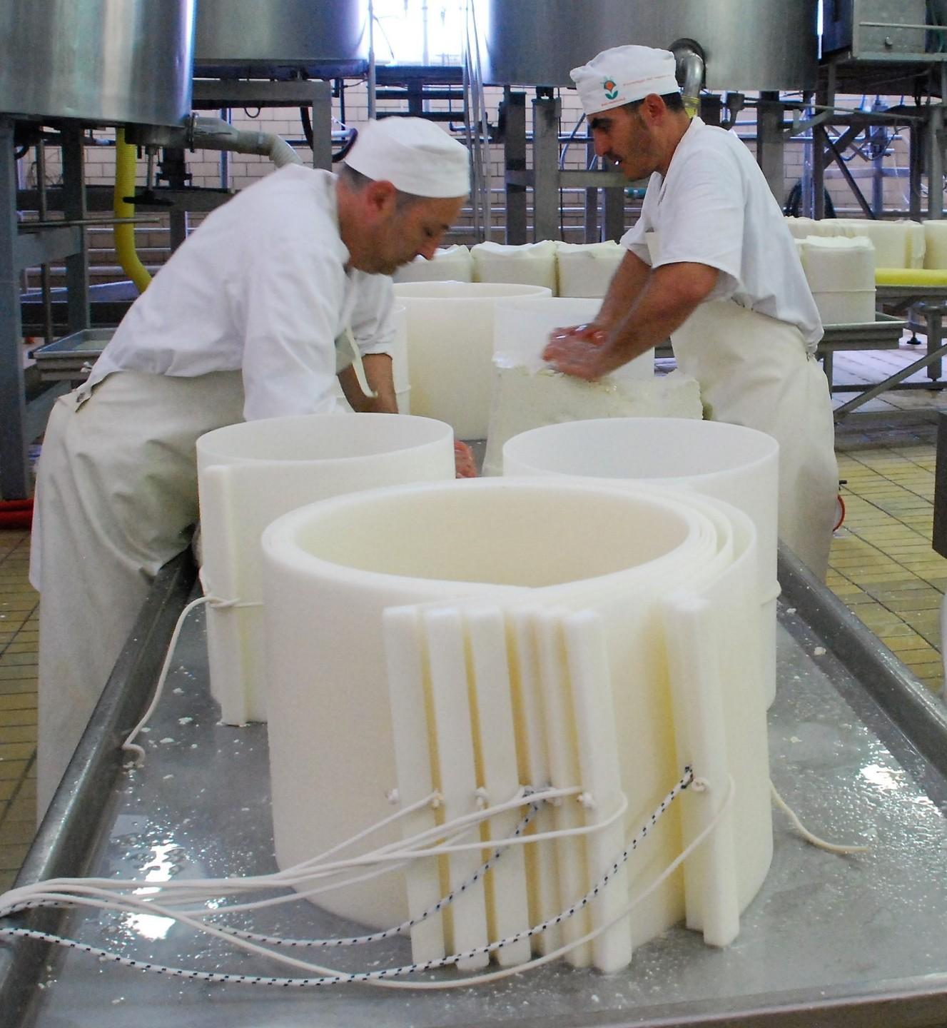 Casu e produtos berveghinos sos pastores sunt isetende 