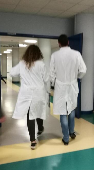 Voto on line: ecco il Consiglio dei Sanitari della maxi Asl