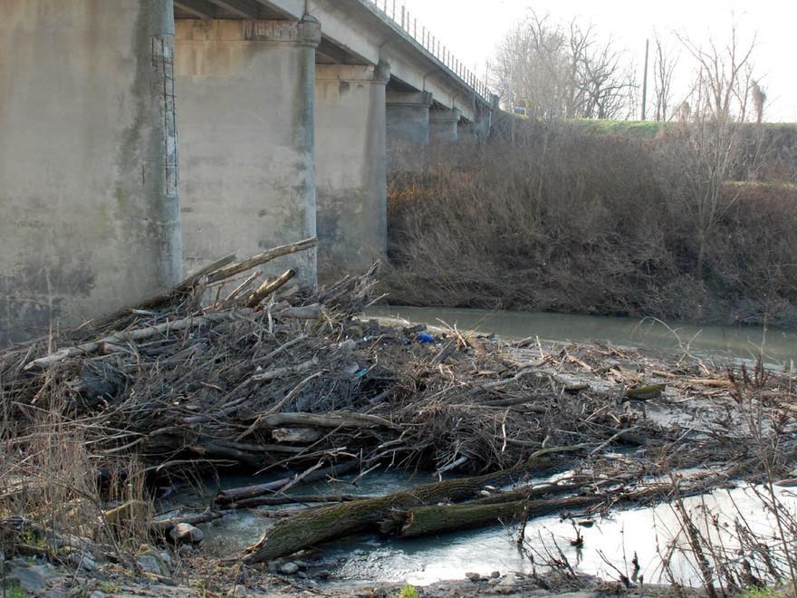 Il Reno preoccupa, altra diga di tronchi sotto il ponte Bastia 
