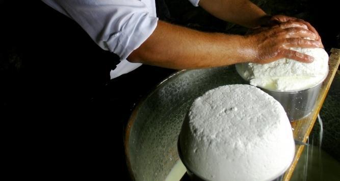 Fiore sardo, guerra per il marchio 
