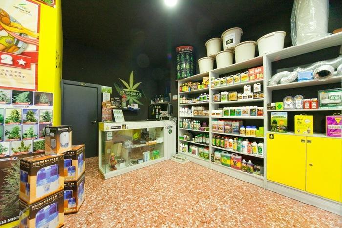 Un negozio che vende prodotti legati alla cannabis (foto Ansa)
