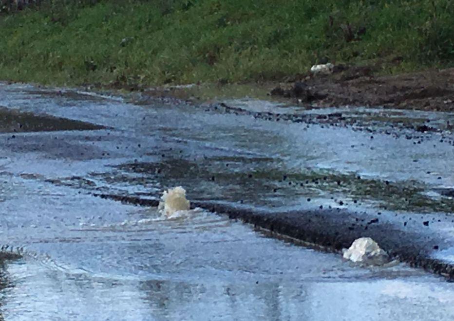 Guasti e carenza di acqua per 200 abitanti 