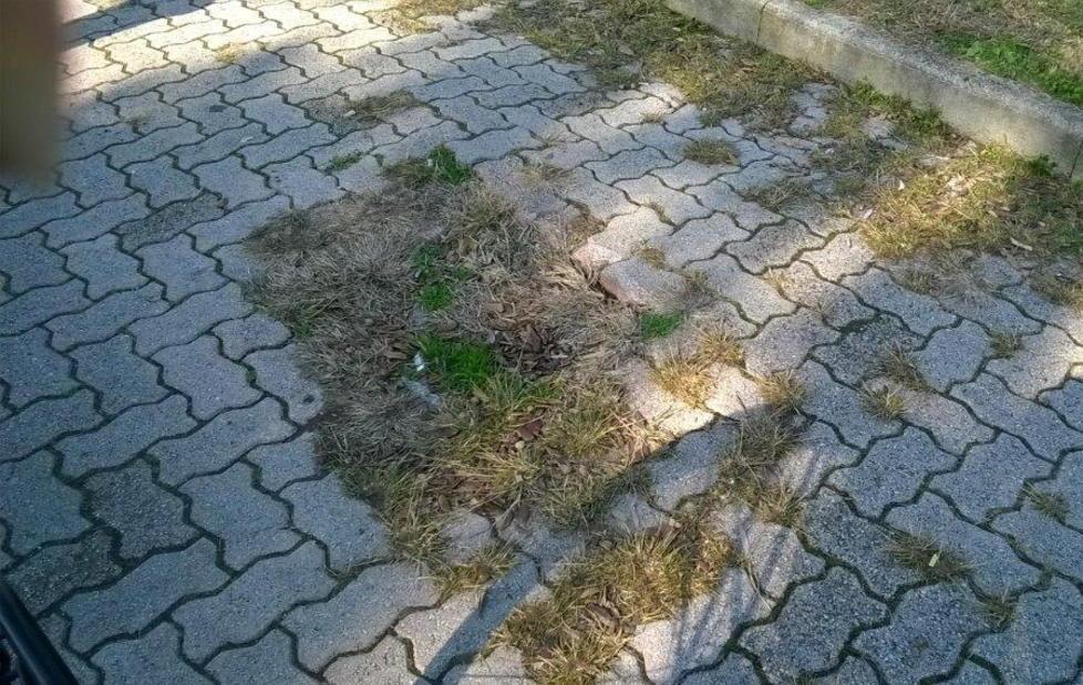 «Noi, in mezzo agli scontri alle 8,30 di sera» 