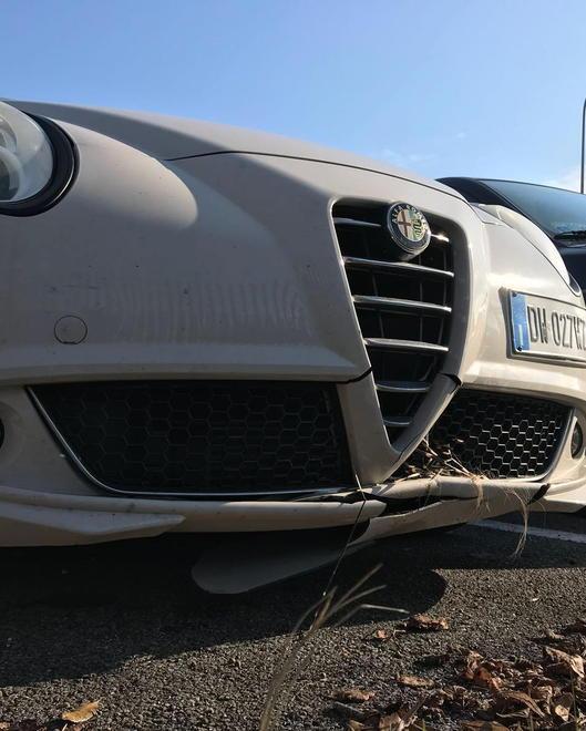 Si trova davanti un istrice sull’A11 