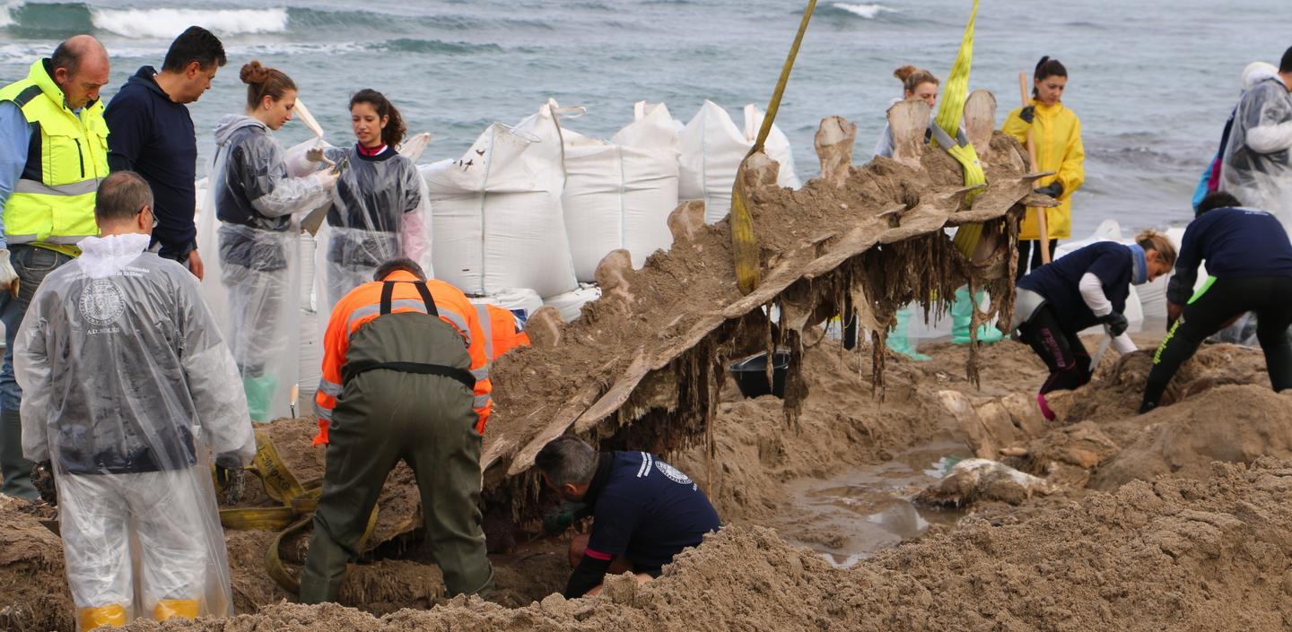 Caccia alle mandibole di Moby Dick 