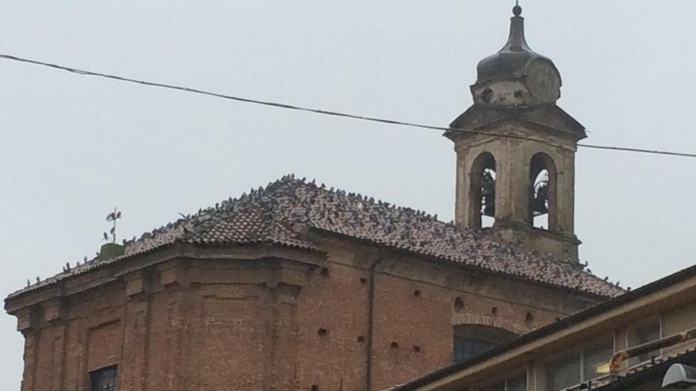 Piccioni, è un’emergenza E il Comune è impotente