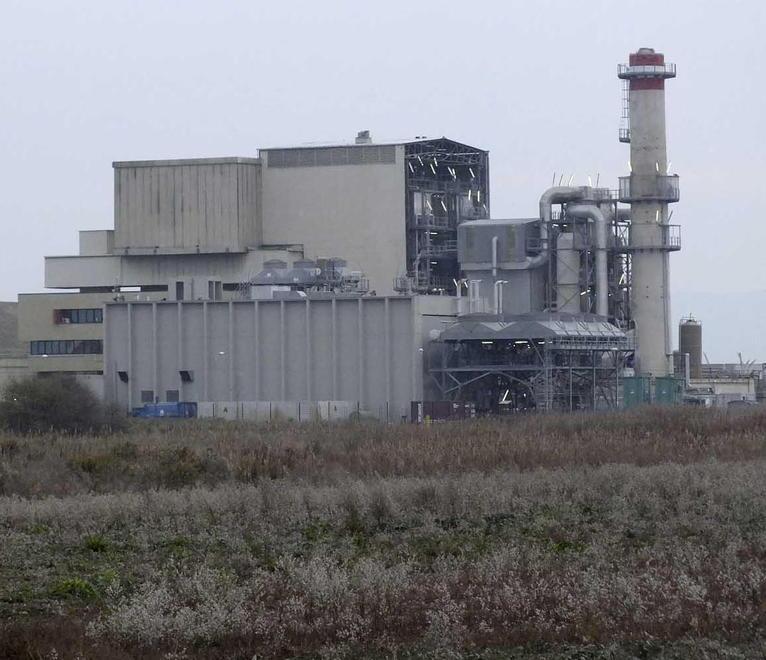 Inceneritore, indagine choc del Cnr: "In quella zona eccessi di mortalità" 