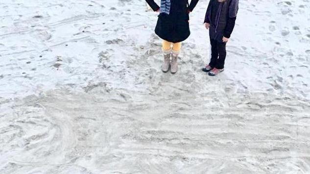 Sardina scolpita con rifiuti di plastica