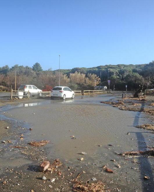 Il vento sradica gli alberi 