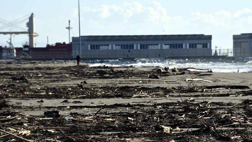 E a Carrara nuova invasione di lavarone