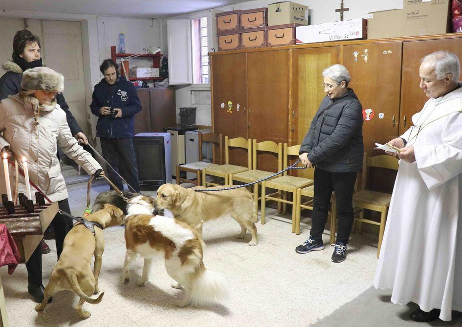 Benedizione degli animali, tra cani, pesciolini e preghiere