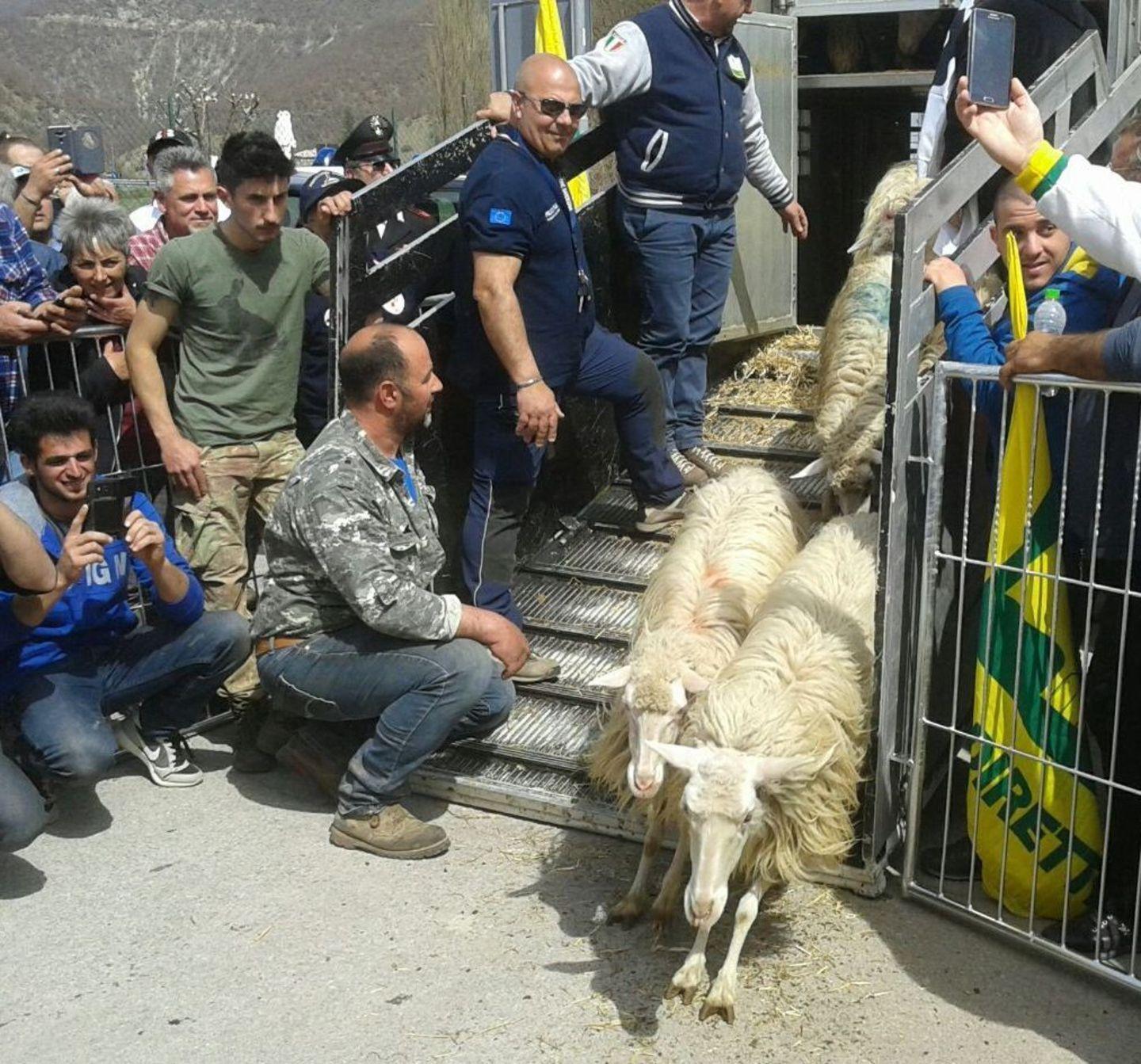 Sa Paradura dello scorso aprile a Cascia