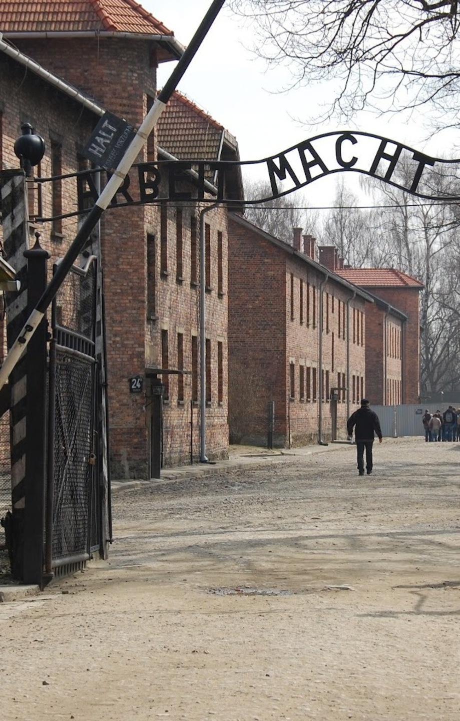 Per non dimenticare Auschwitz 