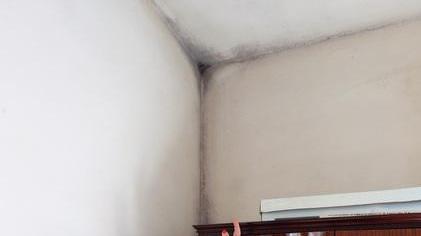 «La mia casa è piena di muffa»