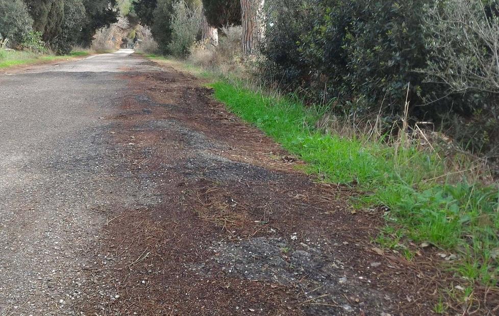 Scuole coinvolte in SportAmico