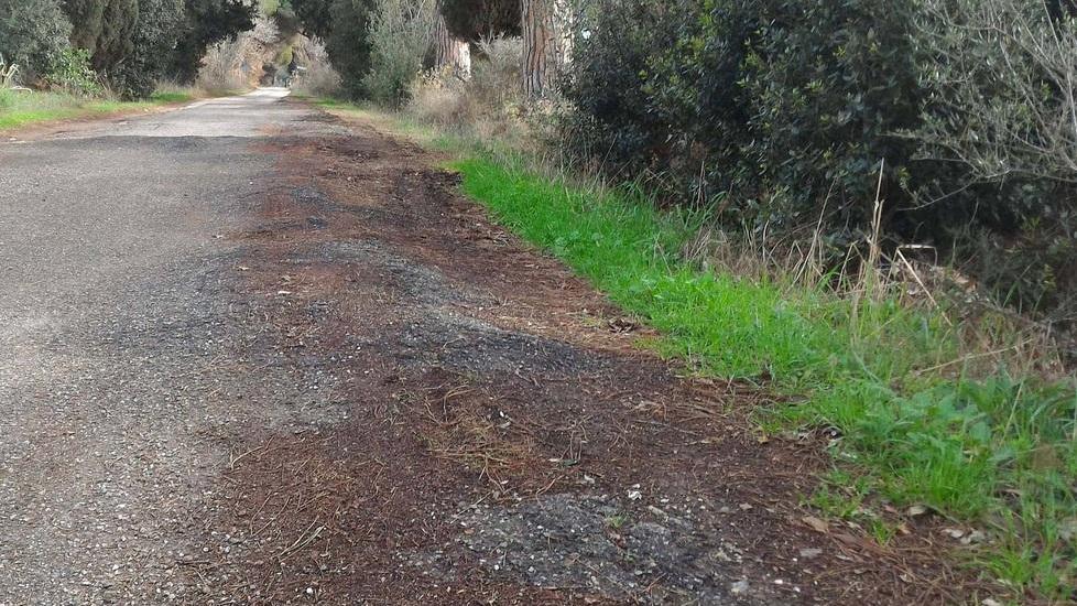 Scuole coinvolte in SportAmico