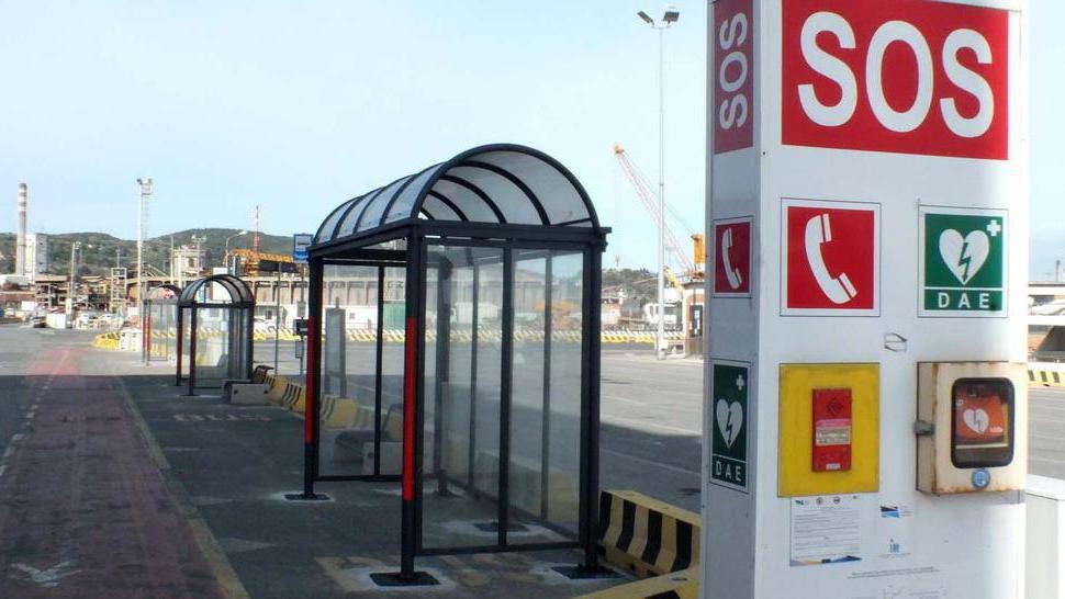 Nuove pensiline dei bus sul porto
