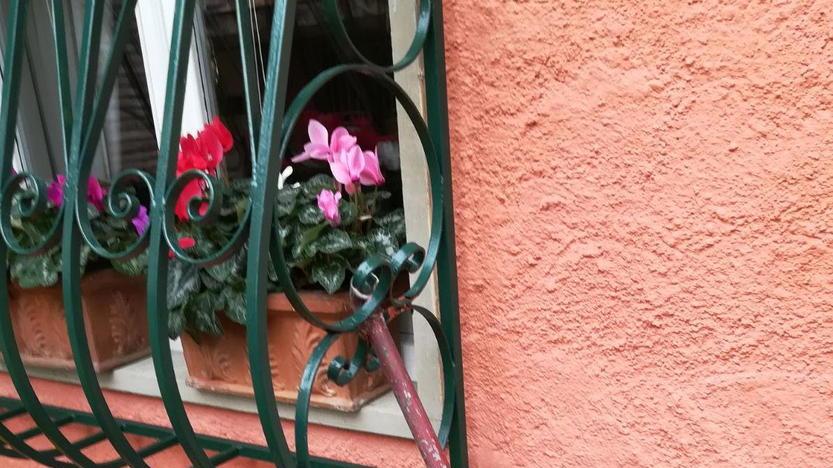 Ex assessore mette in fuga i ladri