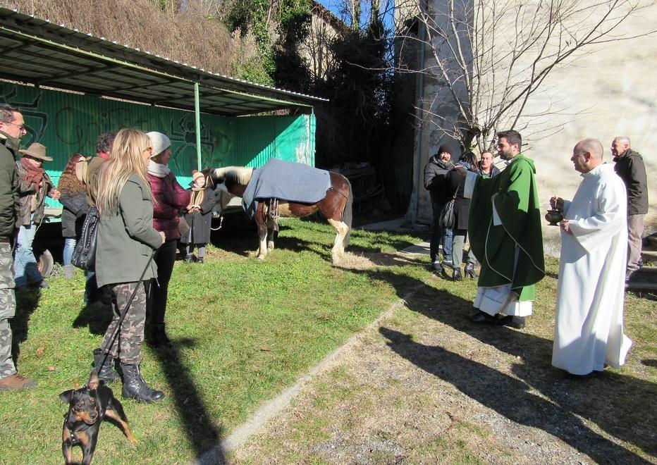 Oggi c’è la benedizione degli animali a Gaiato e Zocca