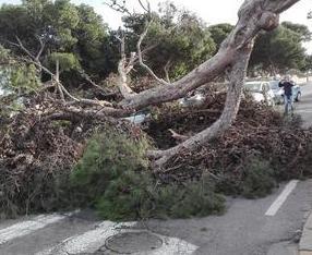 Vento: danni in tutta l’isola, ferito un vigile 