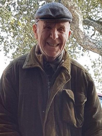 Cacciatore 89enne di Telti fa centro e uccide un cinghiale