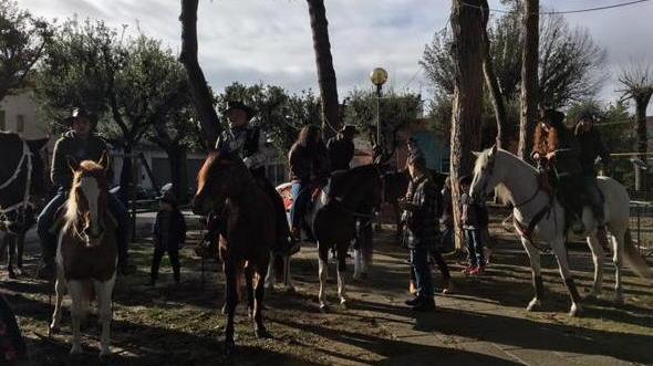 Festa a Castelfranco per la benedizione di cavalli, cani e gatti
