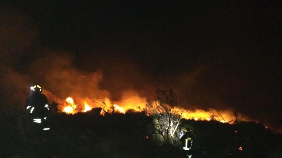 Incendio doloso al Giglio, indagini in corso