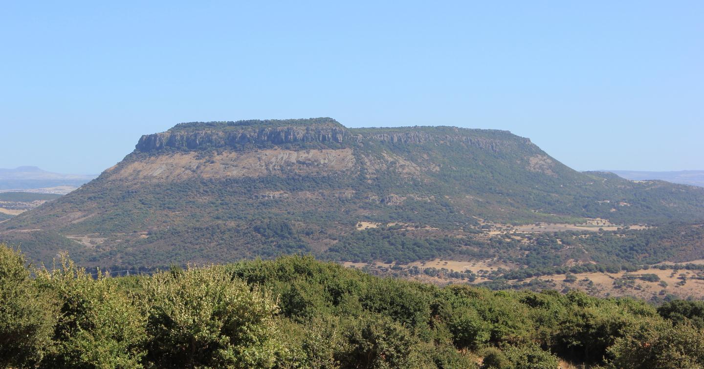 A Monte Minerva laboratori per conoscere la biodiversità